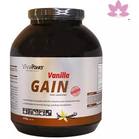 تصویر پودر گین ویوا پاور 2700 گرمی 