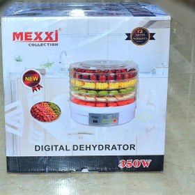 تصویر میوه خشک کن مکسی 350 وات FR 