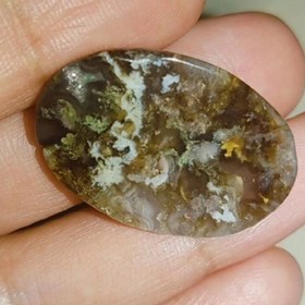 تصویر نگین شجر 