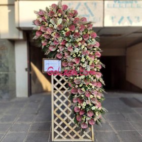 تصویر تاج گل شاندیز 