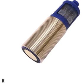 تصویر کلگی میکروسوئیچ R 