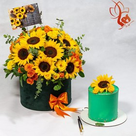 تصویر باکس گل و کیک دخترانه مدل هلیا | کد: ZNB-Q7O 