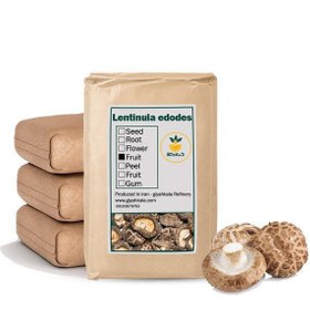 تصویر قارچ شیتاکه خشک فله 