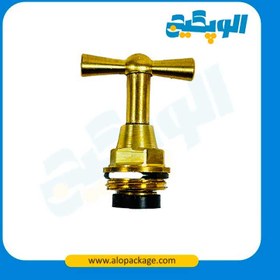 تصویر بالاتنه شیر ۱/۲ حیاطی 