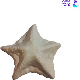 تصویر دکور سرامیکی آکواریوم طرح ستاره دریایی کد k8-3 