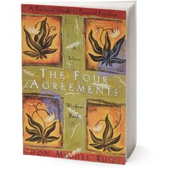 تصویر کتاب چهار میثاق از دون میگوئل روئیز نشر معیار علم 