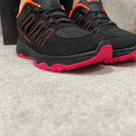 تصویر سالمون مشکی قرمز 