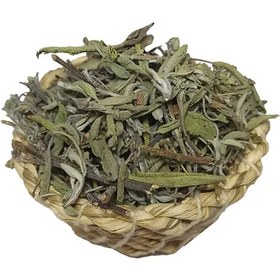 تصویر مریم گلی 