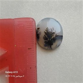 تصویر نگین شجر انگشتر کد 251 