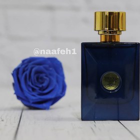 تصویر برند کالکشن کد 170 ورساچه دیلان بلو Brand collection No. 170 Versace Dylan Blue