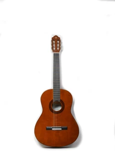 تصویر فروشگاه سون گیتار