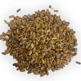 تصویر بذر خارمریم 