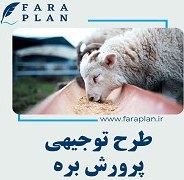 تصویر طرح توجیهی پرورش بره 150 راس 