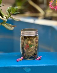 تصویر کیوی خشک - 1کیلو گرم Dry kiwi