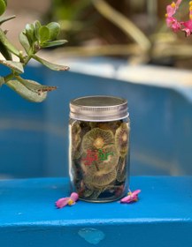 تصویر کیوی خشک - ۲۵۰ گرم Dry kiwi