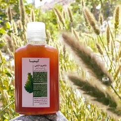 تصویر شامپو ختمی 