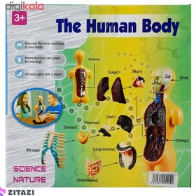 تصویر بازی آموزشی طرح مولاژ آناتومی بدن مدل The Human Body 3305 