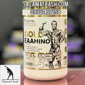 تصویر آمینو EAA گلد کوین ۳۹۰ گرم 