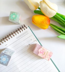 تصویر پاکن مغزدار گل 