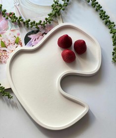 تصویر سینی ال شیپ عکاسی