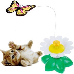 تصویر اسباب بازی گربه چرخان مدل پرنده و پروانه + فیلم Pet Cat Toys Kitten