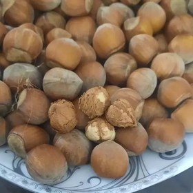 تصویر فندق تازه و خوشمزه محصول امسال 500 گرمی 