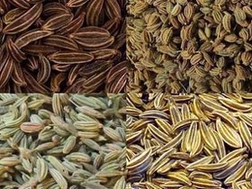 تصویر چهار زیره 