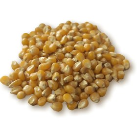 تصویر ذرت (500 گرم) 