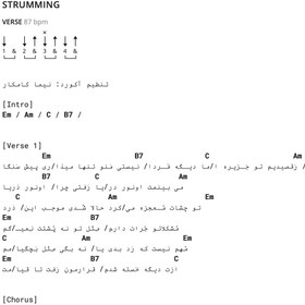 تصویر نخلا-سیجل_مهراد هیدن_سپهر خلسه 