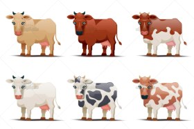 تصویر وکتور گاو شیری 