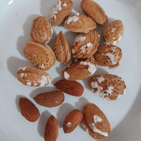 تصویر بادام درختی پوست کاغذی بو داده(250گرم) 