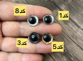 تصویر چشم اکلیل دار 12میل 