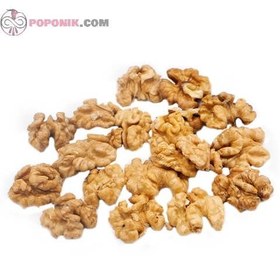 تصویر گردو سفید ایرانی 