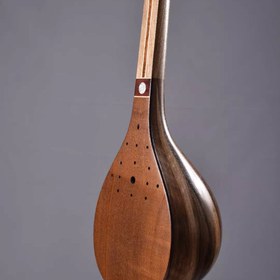 تصویر سه تار نادعلی 