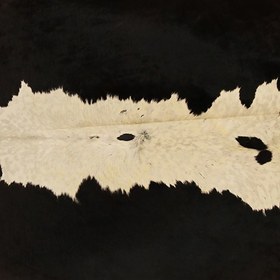 تصویر پوست تزئینی P378 