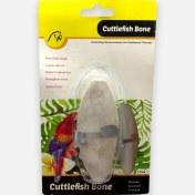 تصویر کف دریا قفس طوطی و عروس هلندی 