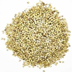 تصویر تخم گشنیز - وزن: 50 گرم 