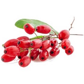 تصویر زرشک کوهی 