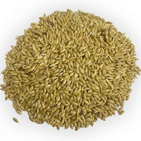 تصویر کتان زرد 