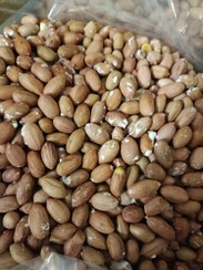 تصویر بادام زمینی درشت آستانه - 500گرم 