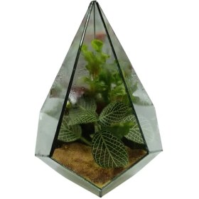 تصویر تراریوم مدل مثلث بلند 