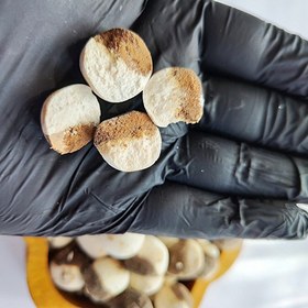 تصویر کشک نقلی یک کیلویی 