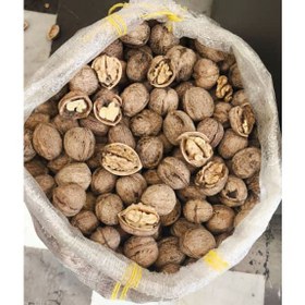 تصویر گردو با پوست تویسرکان ۱۷ کیلوگرم 