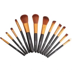 تصویر گلدن فیشر ست براش 12 عددی golden fisher 12 brush set 