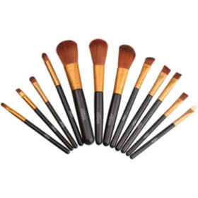 تصویر گلدن فیشر ست براش 12 عددی golden fisher 12 brush set 