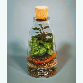 تصویر تراریوم مینیمال سبز 