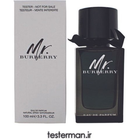 Mr burberry eau hot sale de parfum price