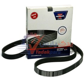 تصویر تسمه دینام پژو206 اپتی بلت 1568 Optibelt 6PK1568 Timing belt For peugeot 206 type 2,3