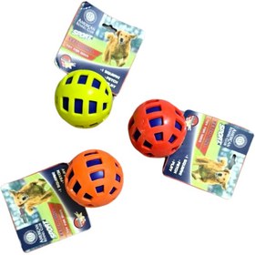 تصویر توپ بازی سگ و گربه 