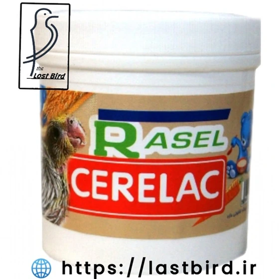 Store Rasel 4 H خرید و قیمت راسل RASEL غذا کمکی جوجه طوطیسانان | ترب